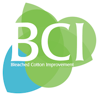 BCI Logo